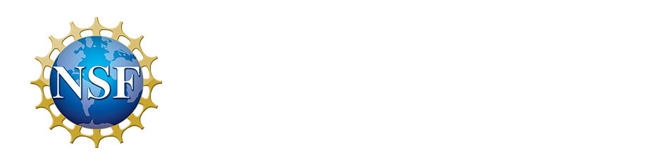 NSF Logo 