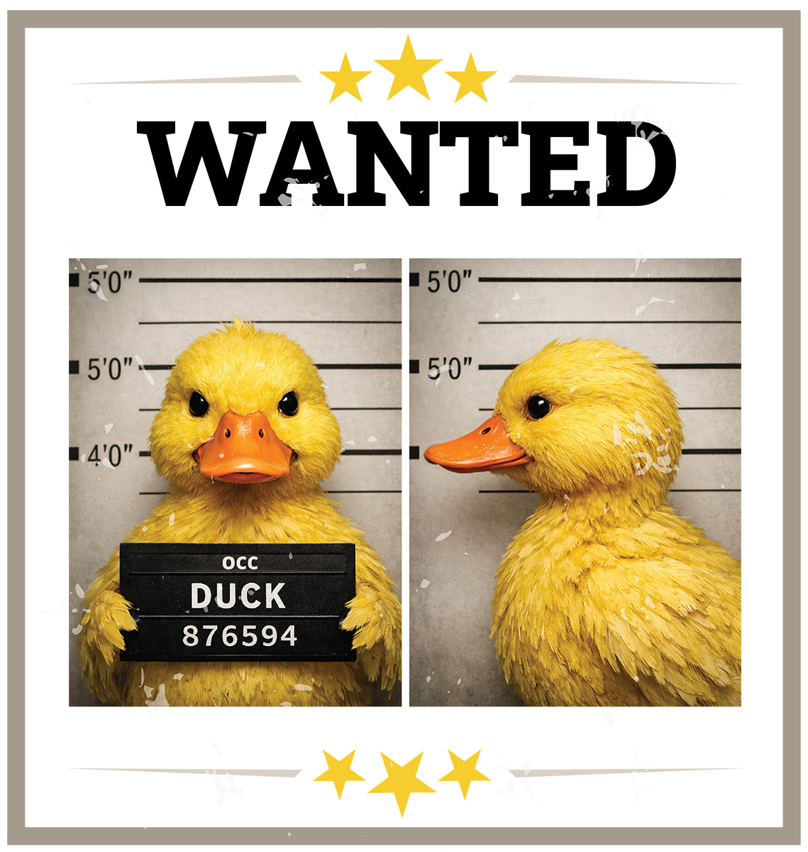 Yellow duck posed like a mugshot, front and side views, holding an ID placard.