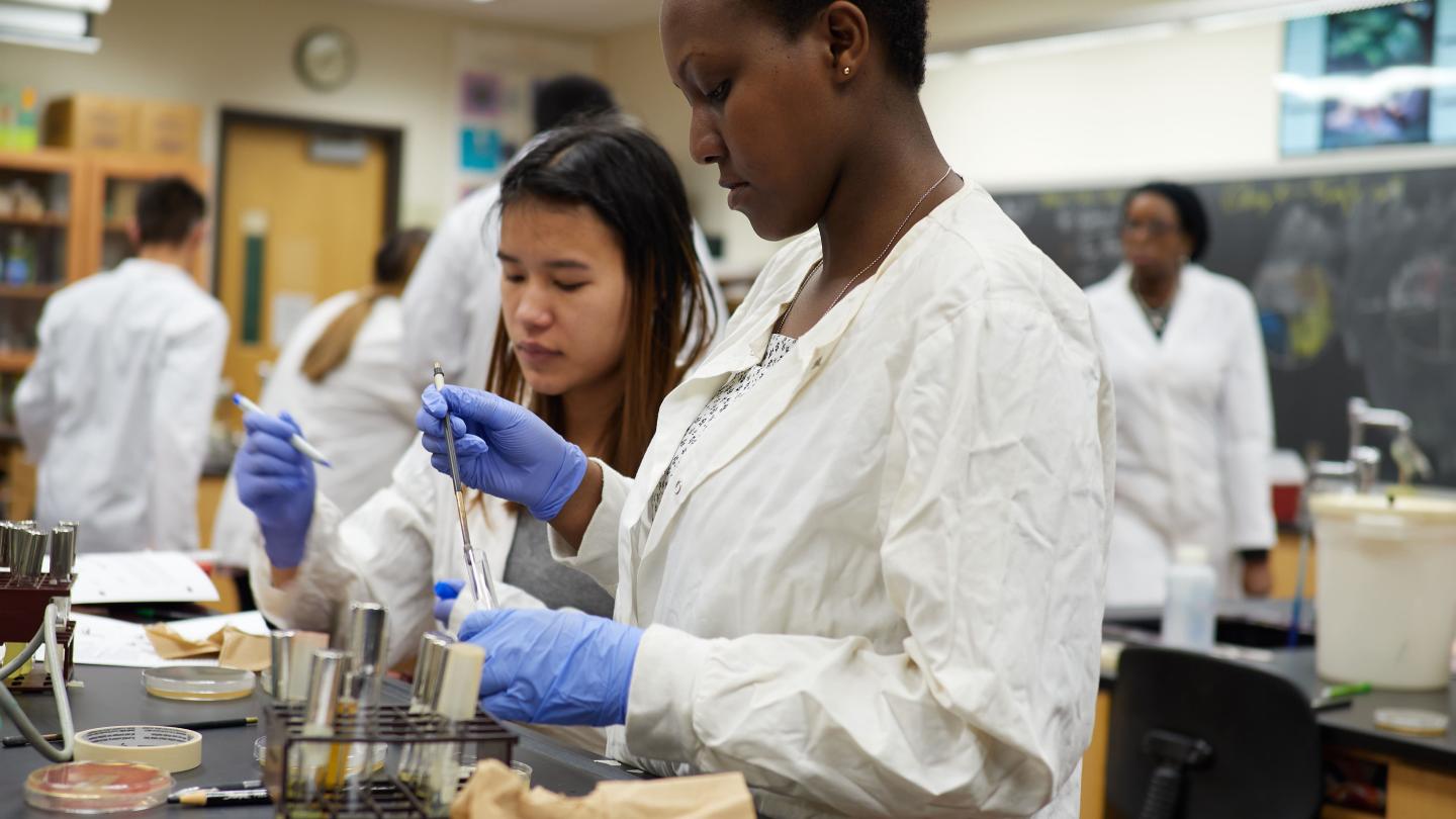 Two women working in the lab