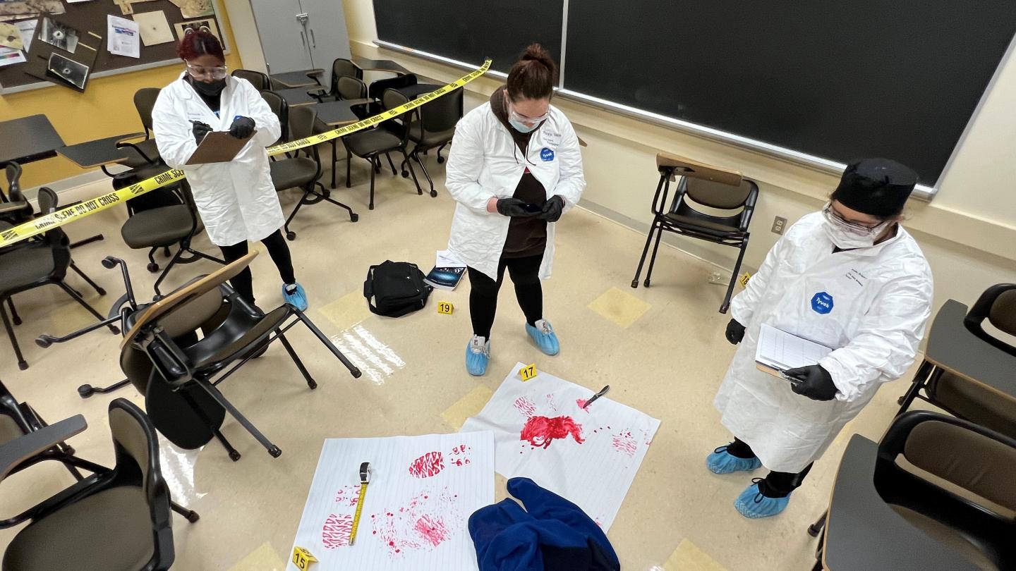 Students participating in a mock crime scene investigation