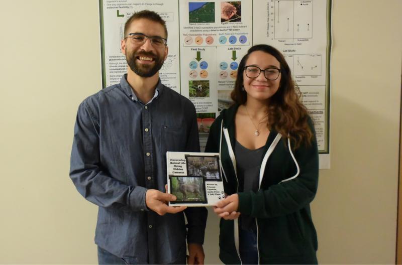 children's book on animals