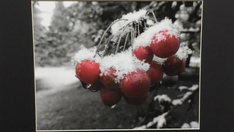 award winning photograph