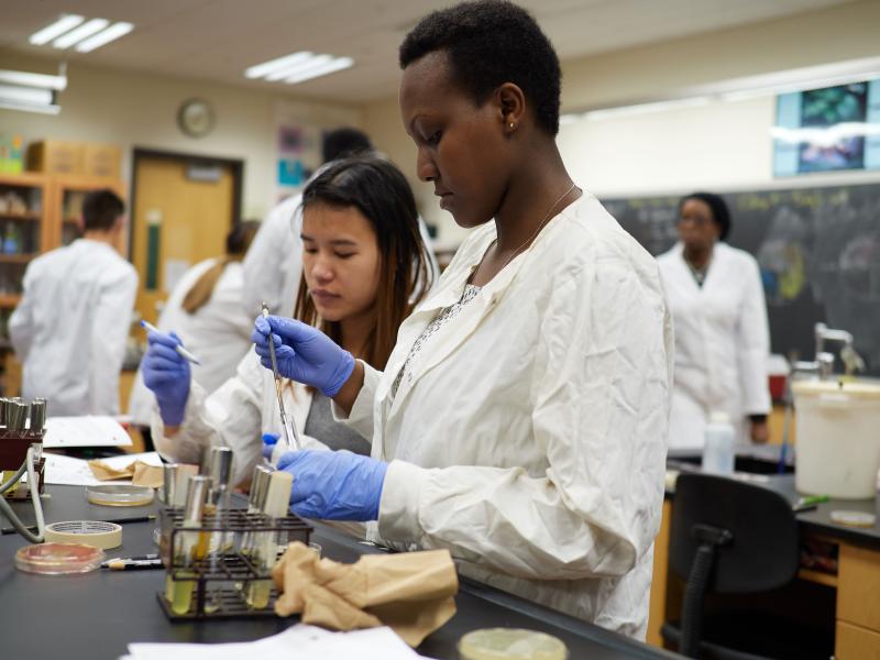 Two women working in the lab