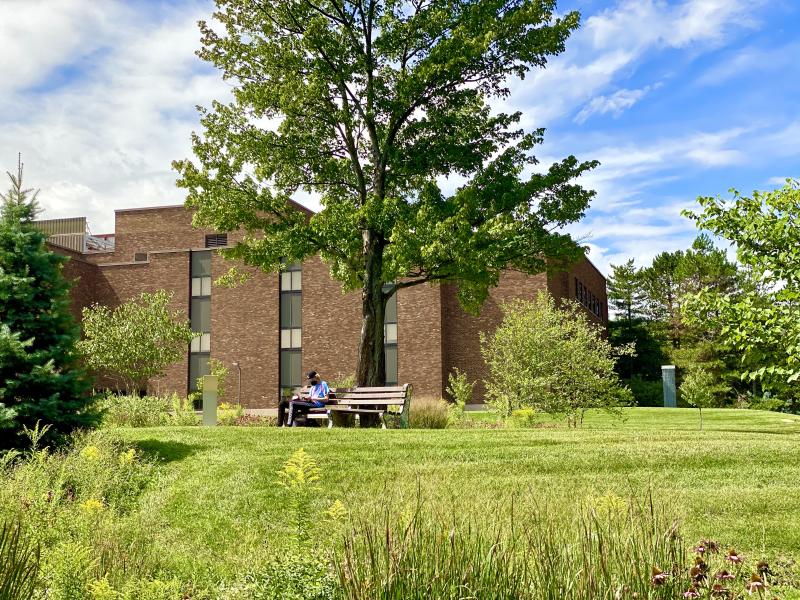 Student studying on a bench
