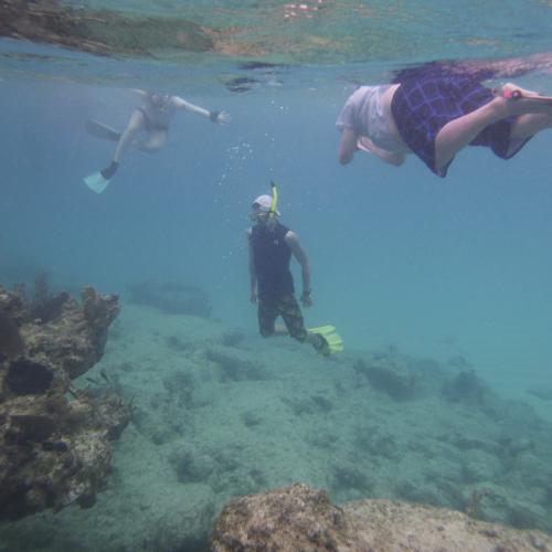 Students snorkeling in the Bahamas 