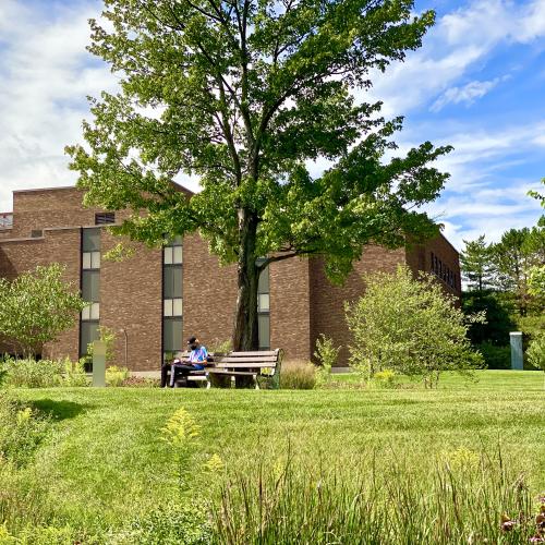 Student studying on a bench