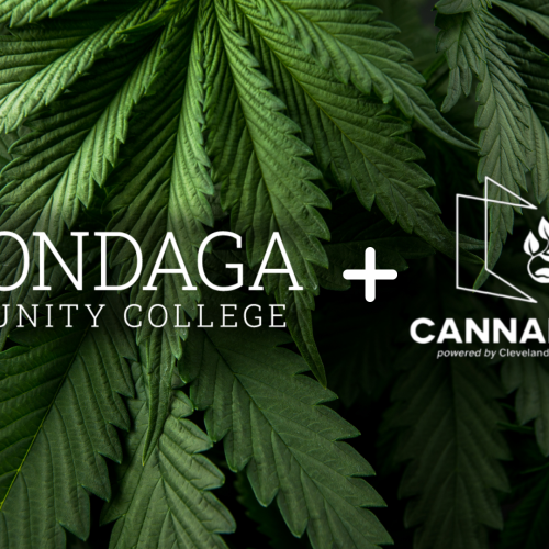 OCC Cannabis logo