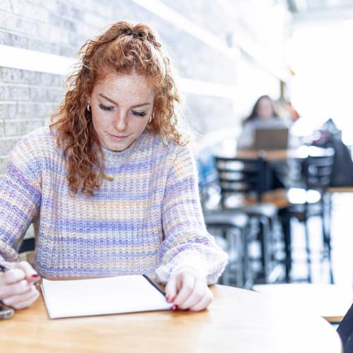 Student Studying In Whitney