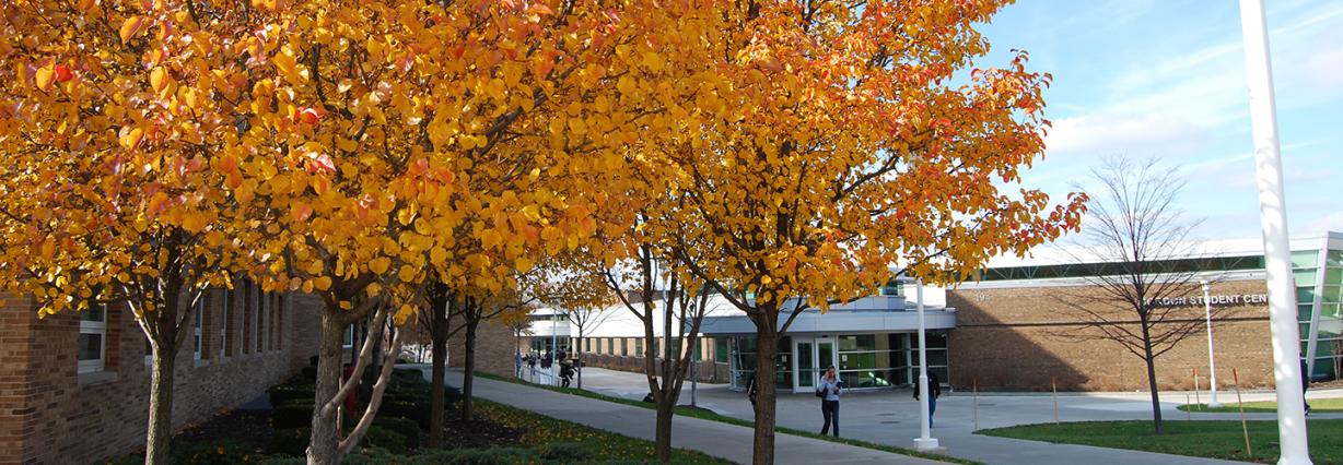 Student walking through campus