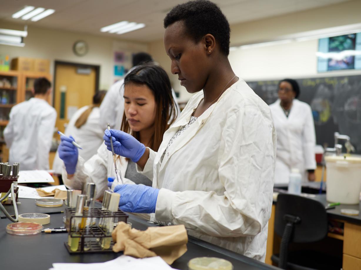 Two women working in the lab Two women working in the lab