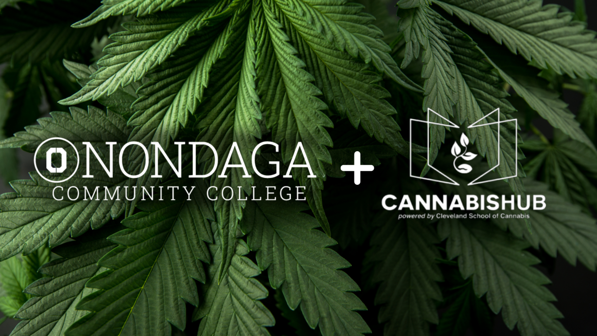 OCC Cannabis logo OCC Cannabis logo