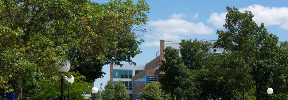 A summer day on campus