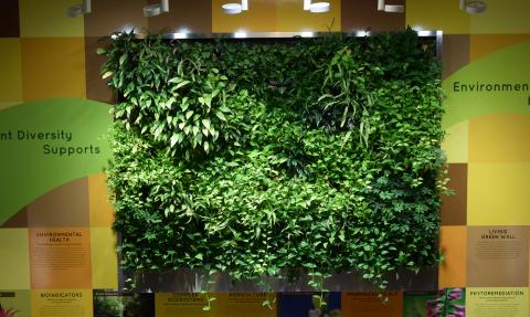 Green Wall