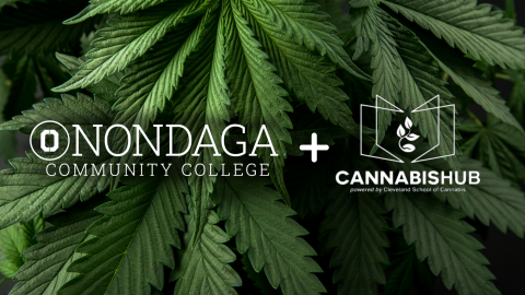 OCC Cannabis logo