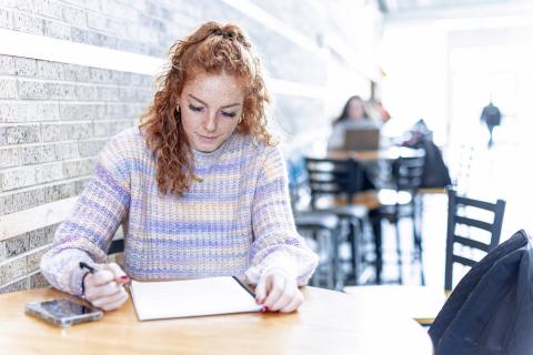 Student Studying In Whitney